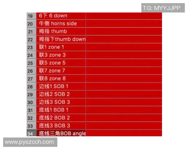 重庆足球队总决赛战术分析与表现评估探讨